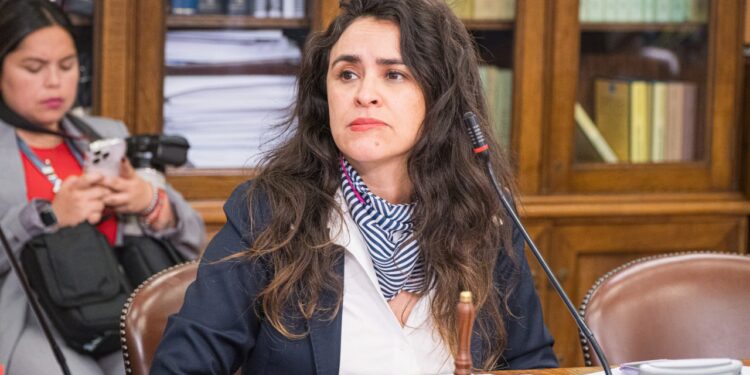 CONAF entrega explicaciones en el Congreso por tragedia en Torres del Paine