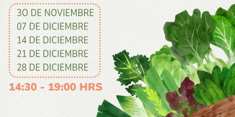 Feria dominical Hortícola y Artesanal Rio Seco