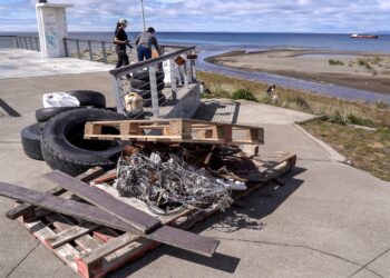 Municipio retira casi media tonelada de residuos en operativo de limpieza en la desembocadura del Río Las Minas