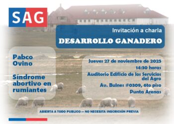 SAG Magallanes invita a productores y comunidad a charla sobre desarrollo ganadero en la región