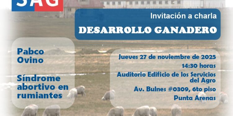 SAG Magallanes invita a productores y comunidad a charla sobre desarrollo ganadero en la región