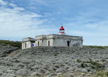 Estudiantes de Punta Delgada reviven la historia marítima en una visita al Faro Cabo Posesión