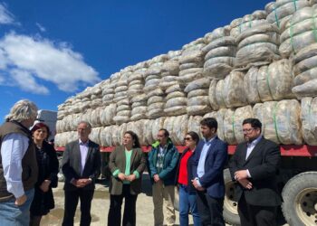 Magallanes proyecta nueva ruta lanera hacia el mercado indio