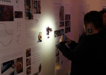 Arte, inclusión y territorio: Magallanes impulsa nuevas miradas para la educación inicial