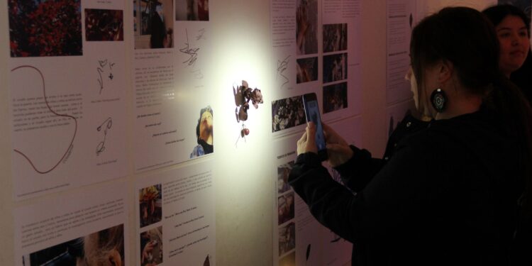 Arte, inclusión y territorio: Magallanes impulsa nuevas miradas para la educación inicial