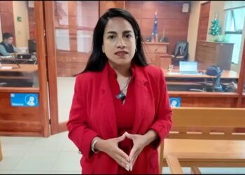 Condenan a autor de una seguidilla de robos que afectó a comercios y vivienda en Puerto Natales