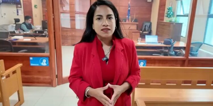 Condenan a autor de una seguidilla de robos que afectó a comercios y vivienda en Puerto Natales