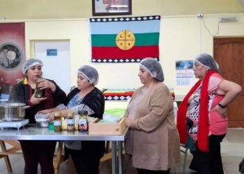 Asociación Mapuche Willi Antu en un nuevo hito para su comunidad