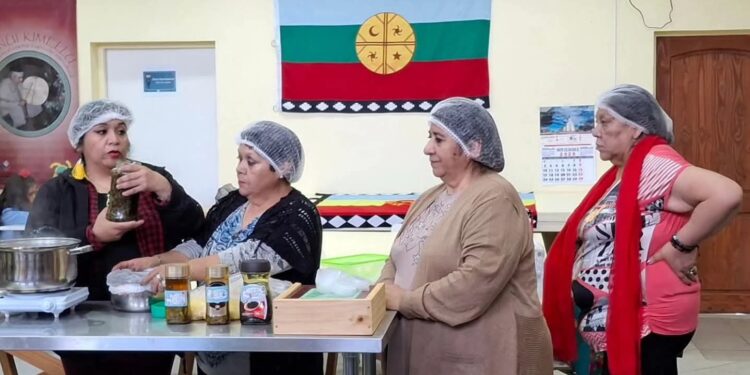 Asociación Mapuche Willi Antu en un nuevo hito para su comunidad