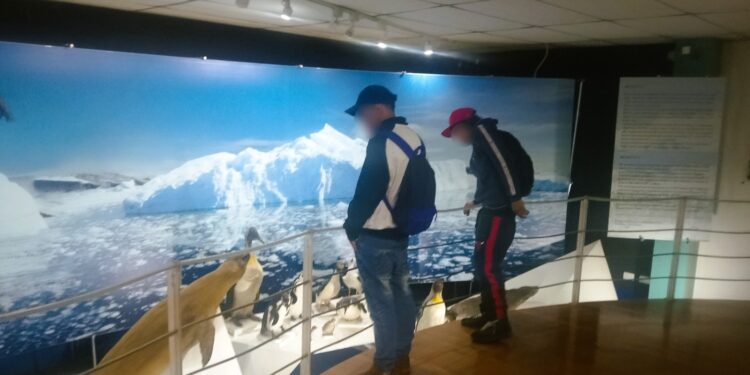 JÓVENES EN REINSERCIÓN VIVEN EXPERIENCIA CULTURAL EN MUSEO