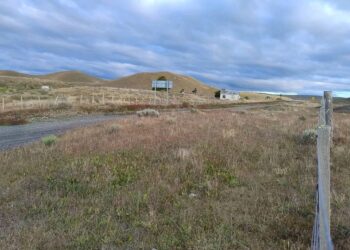 Robaron más de 10 millones desde parcela a 18 kilómetros de Porvenir