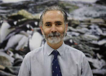 Seis nuevos proyectos “Anillos de Investigación en Áreas Temáticas” potenciarán el estudio de la Antártica y sus ecosistemas.