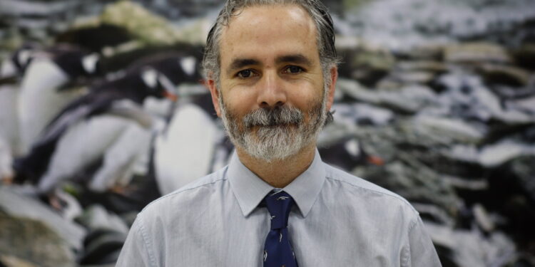 Seis nuevos proyectos “Anillos de Investigación en Áreas Temáticas” potenciarán el estudio de la Antártica y sus ecosistemas.