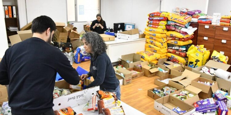 Municipalidad de Punta Arenas realiza positivo balance por campaña solidaria en apoyo a familias de Trehuaco