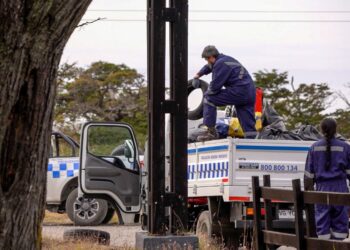 Municipio refuerza limpieza y llama al uso responsable del Parque Chabunco ante altas temperaturas