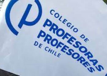 Colegio de Profesoras y Profesores de Magallanes expresa preocupación por gestión del SLEP