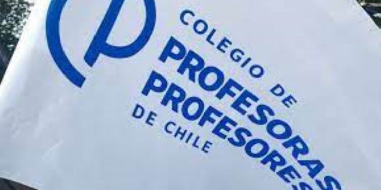 Colegio de Profesoras y Profesores de Magallanes expresa preocupación por gestión del SLEP