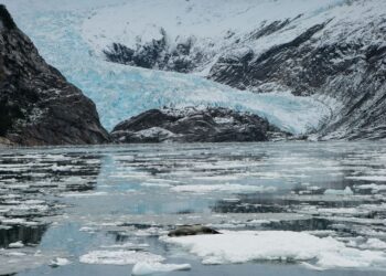 Concejo Municipal de Timaukel aprueba Plan de Acción de Comunidades Portal para el período 2026–2032