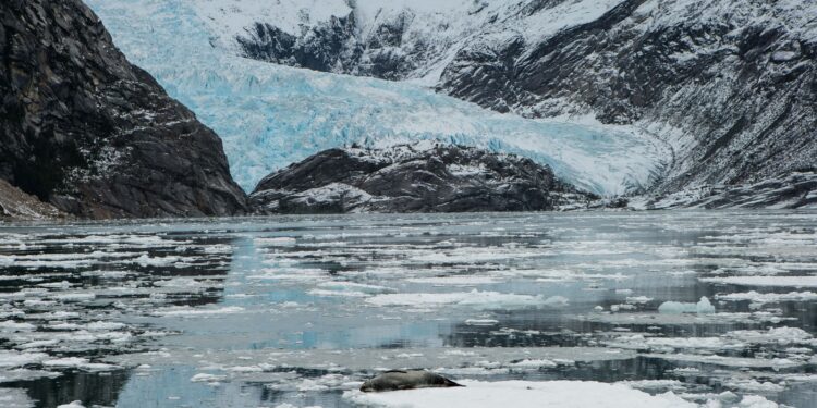 Concejo Municipal de Timaukel aprueba Plan de Acción de Comunidades Portal para el período 2026–2032