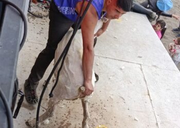 Radio Magallanes Transmitiendo en vivo e informando en terreno tradicional jornada costumbrista en Laguna Blanca