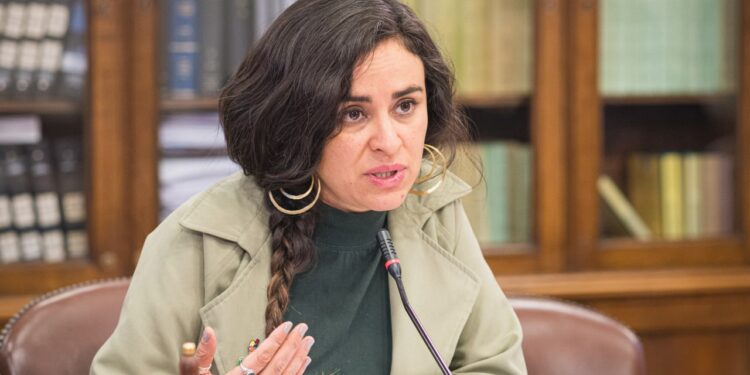 Diputada Morales acusa “mezquindad política” y emplaza al CORE por frenar control biométrico en Magallanes