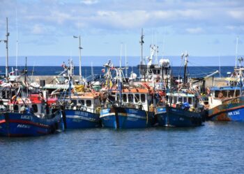 Se mantiene fuerte presencia de marea roja en Última Esperanza y continúan cierres de áreas de extracción