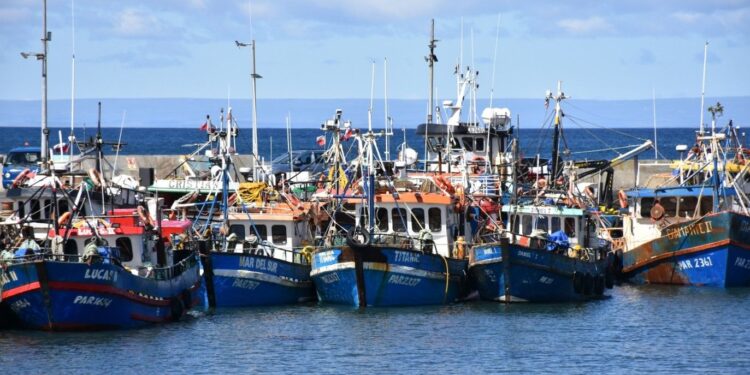 Se mantiene fuerte presencia de marea roja en Última Esperanza y continúan cierres de áreas de extracción