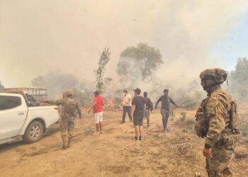 Ejército refuerza despliegue en el Bío Bío y Ñuble para apoyar combate de incendios forestales