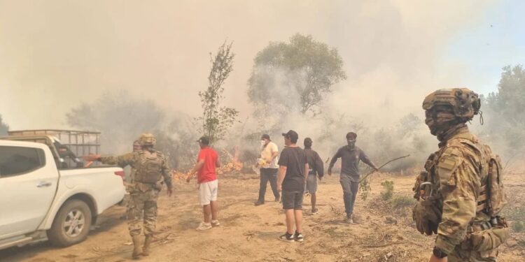 Ejército refuerza despliegue en el Bío Bío y Ñuble para apoyar combate de incendios forestales