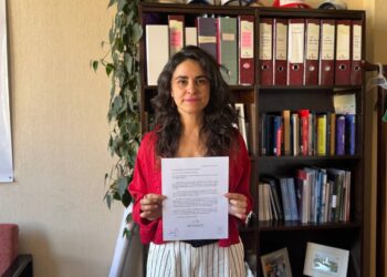 Diputada Morales solicita agilizar incentivos al retiro ante no renovación de cerca de 80 docentes en Magallanes