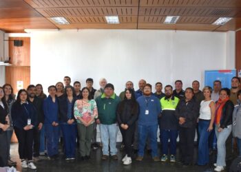 Magallanes refuerza su preparación sanitaria con reunión intersectorial encabezada por la Seremi de Salud