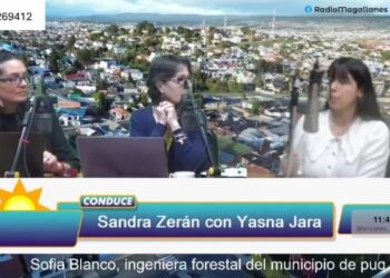 Sofía Blanco ingeniera forestal del municipio: “oficiaremos al regimiento Pudeto por lo descuidado del área y no podar árboles que están en su propiedad.