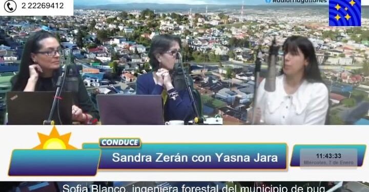Sofía Blanco ingeniera forestal del municipio: “oficiaremos al regimiento Pudeto por lo descuidado del área y no podar árboles que están en su propiedad.