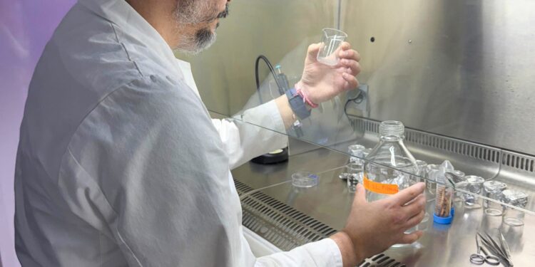 Científico del INACH lleva a Chile a la primera línea en el estudio de microplásticos en la Antártica.