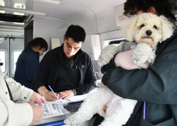 Municipio de Punta Arenas inicia operativos de verano con clínica veterinaria móvil