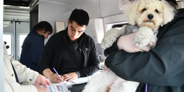 Municipio de Punta Arenas inicia operativos de verano con clínica veterinaria móvil