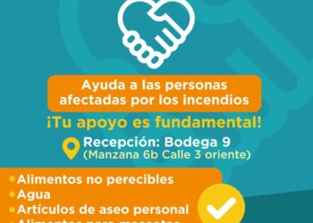 Zonaustral refuerza su agenda de verano con actividades solidarias y talleres gratuitos en apoyo al Biobío