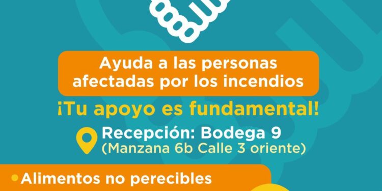 Zonaustral refuerza su agenda de verano con actividades solidarias y talleres gratuitos en apoyo al Biobío