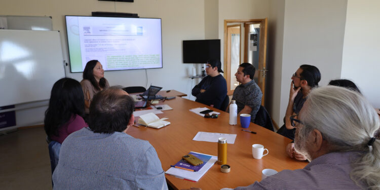 Investigadores dialogan sobre los impactos de la ganadería en los bosques subantárticos de la Patagonia