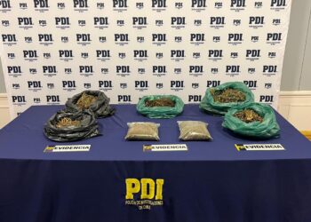 PDI incauta más de siete kilos de cannabis en parque del sector norte de Punta Arenas