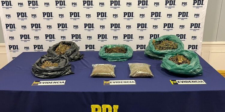PDI incauta más de siete kilos de cannabis en parque del sector norte de Punta Arenas