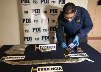 PDI materializa expulsión de integrante de organización criminal que internaba droga desde Perú a Punta Arenas.
