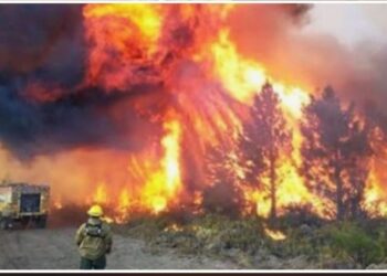 Emergencia en la Patagonia, voraz incendio forestal arrasa viviendas y obliga a evacuar a más de 700 personas en Chubut