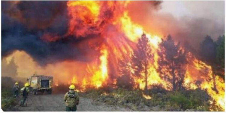 Emergencia en la Patagonia, voraz incendio forestal arrasa viviendas y obliga a evacuar a más de 700 personas en Chubut