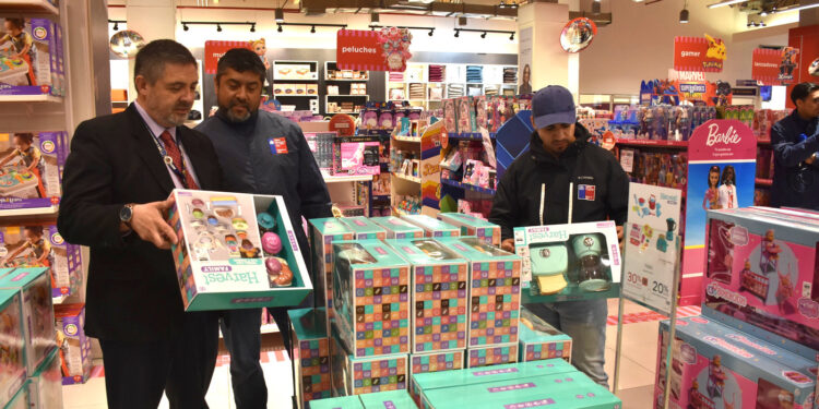 Más de 85 fiscalizaciones y 6 sumarios sanitarios dejó operativo de la Seremi de Salud en Magallanes por Fin de Año