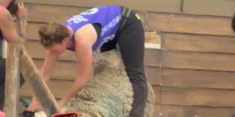 Con masiva asistencia finalizó el primer día del Festival de la Esquila en Laguna Blanca