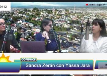 Municipio refuerza limpieza y corte de áreas verdes tras fiestas de fin de año en Punta Arenas
