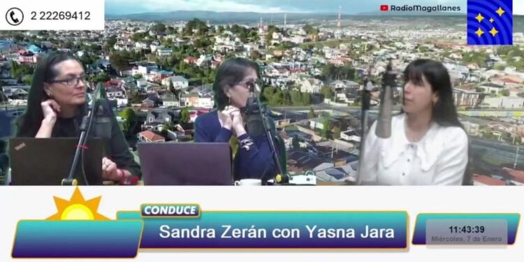 Municipio refuerza limpieza y corte de áreas verdes tras fiestas de fin de año en Punta Arenas