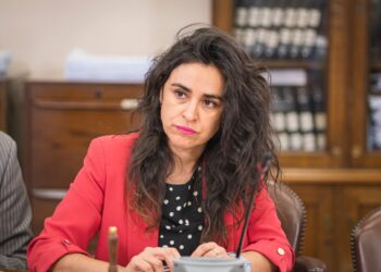 Cámara aprueba solicitud de resolución de la diputada Javiera Morales para reactivar Plan de Zonas Rezagadas en Puerto Edén.