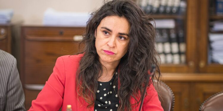 Cámara aprueba solicitud de resolución de la diputada Javiera Morales para reactivar Plan de Zonas Rezagadas en Puerto Edén.